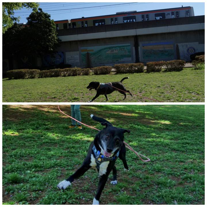 46082d27 09a1 4ba1 a559 c47d4f6d7db0 1744763473206