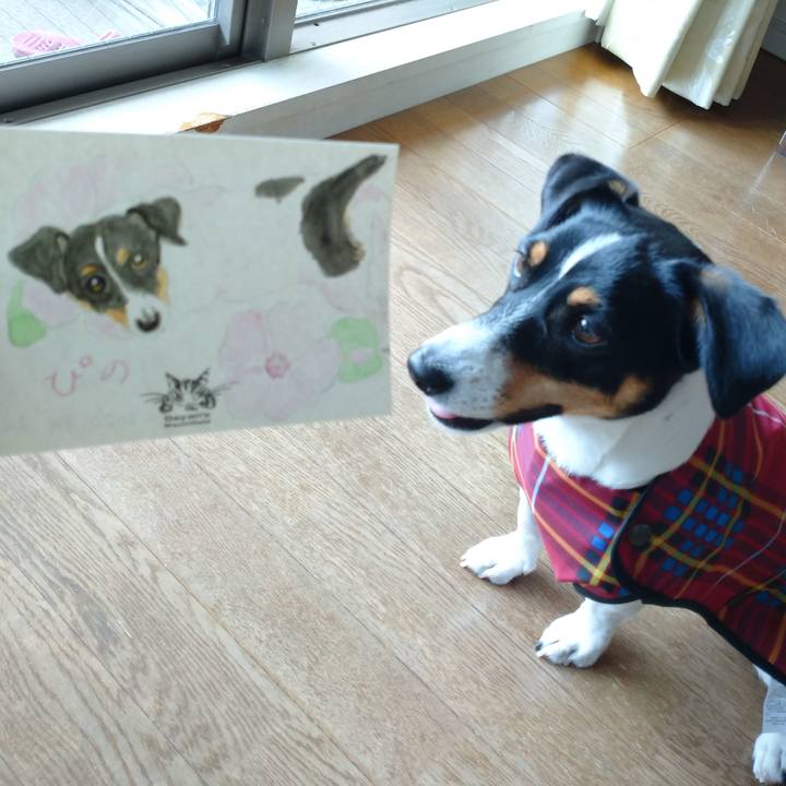 46083f3f 3781 46de 941c 98336a643ae4 1598244821332