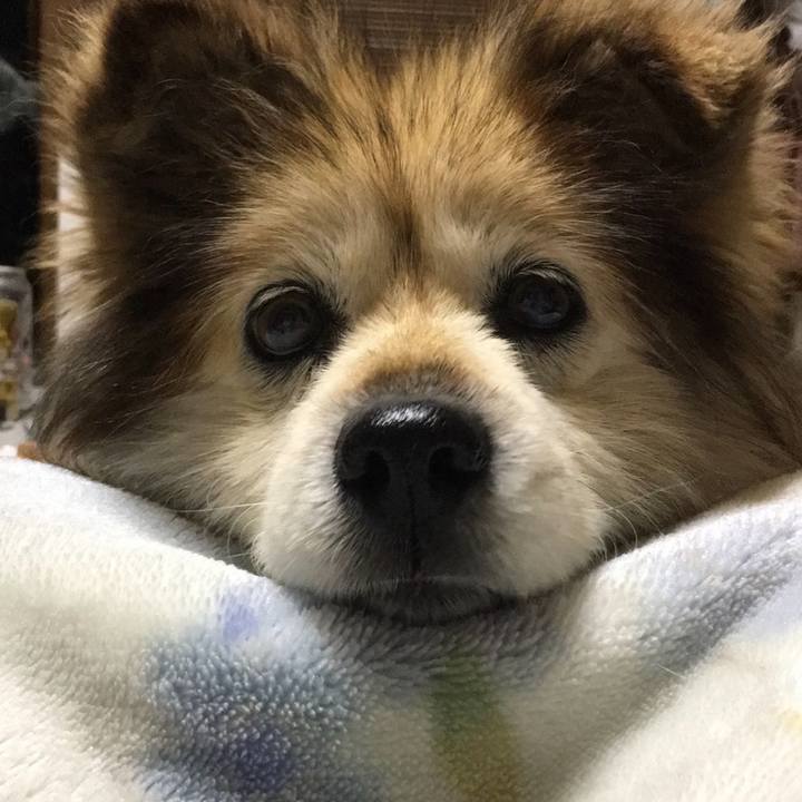 46086eb9 e379 45c9 8042 337af3d45277 1642321698464