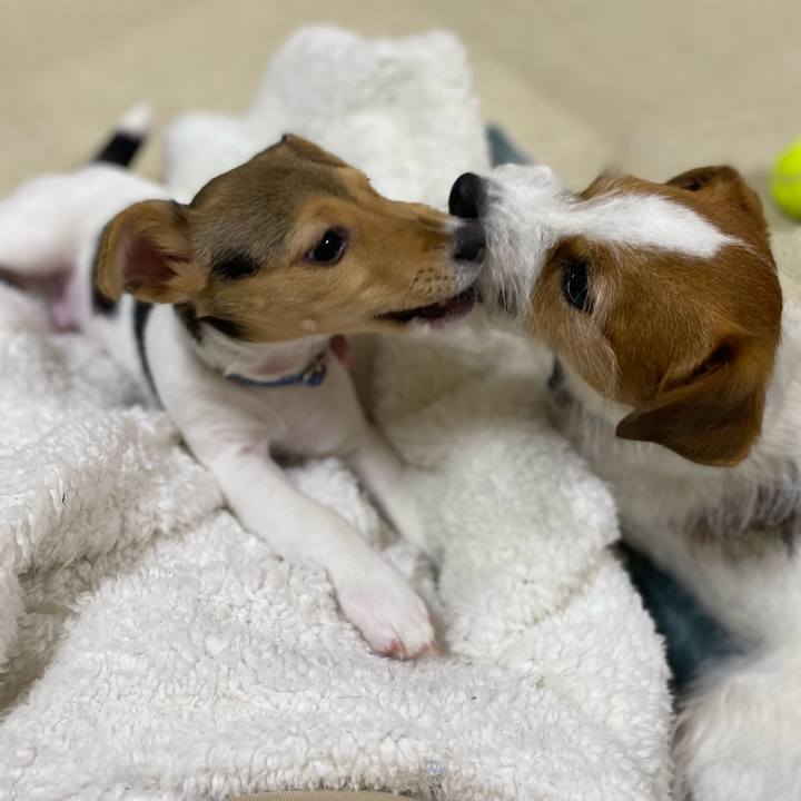 4608897e c2f6 4c65 aa09 ea9fe7862ac9 1744983719404