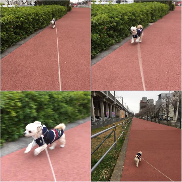 4608d4f2 fed6 412c a1fa 2afeb5a3d9ca 1553331572353