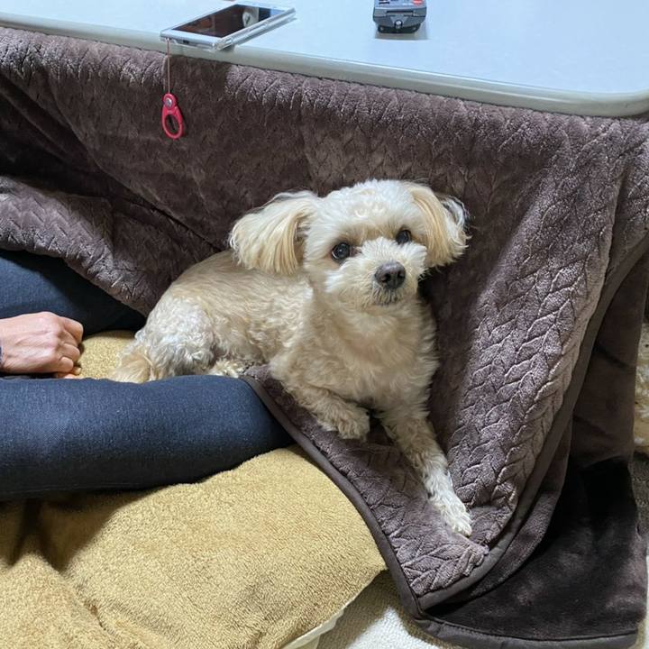 4608df57 b554 4426 a94b 8226890e358c 1609379883847