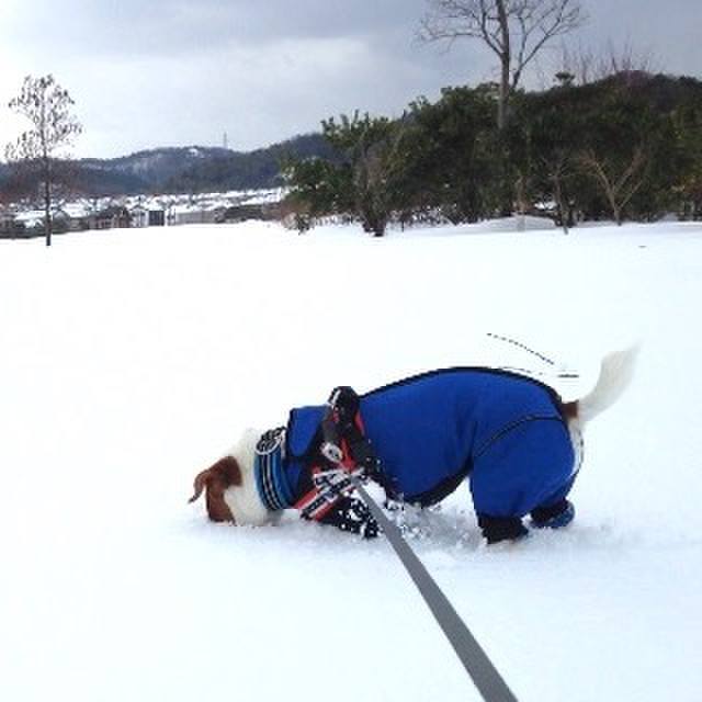 4608e9cd 1744 4d50 9d18 7c6d16b7181a 1517124928790