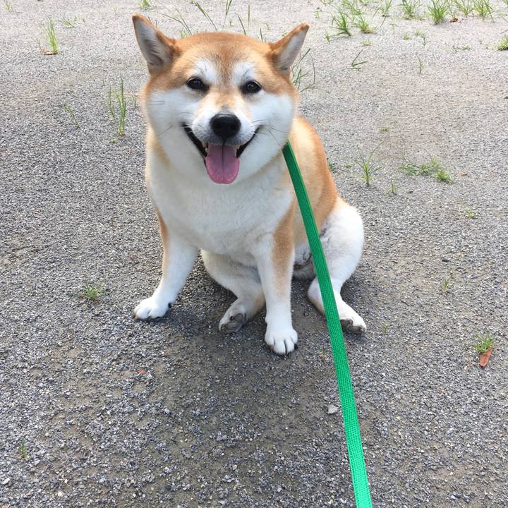 460956d0 ff96 46a8 866c d10afb54c155 1599092546196