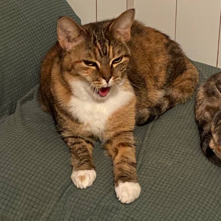 460969eb eafd 45ec 8251 269e630d32b1 1578534156776