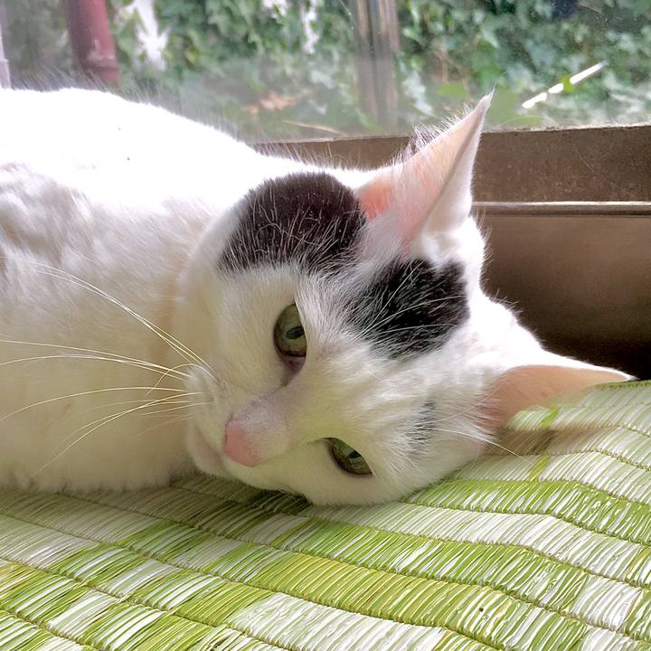 460971f2 679b 40dd b6f6 b90f029cb491 1582006328913