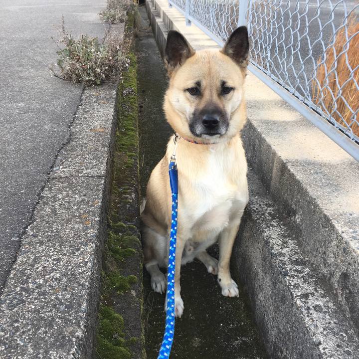 46097f59 9441 46fb 96cd 9f7d2a6635fe 1516790366979