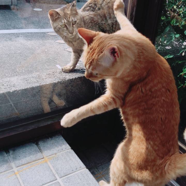 46098a65 3552 483a 8278 36e201438d6e 1525413570135