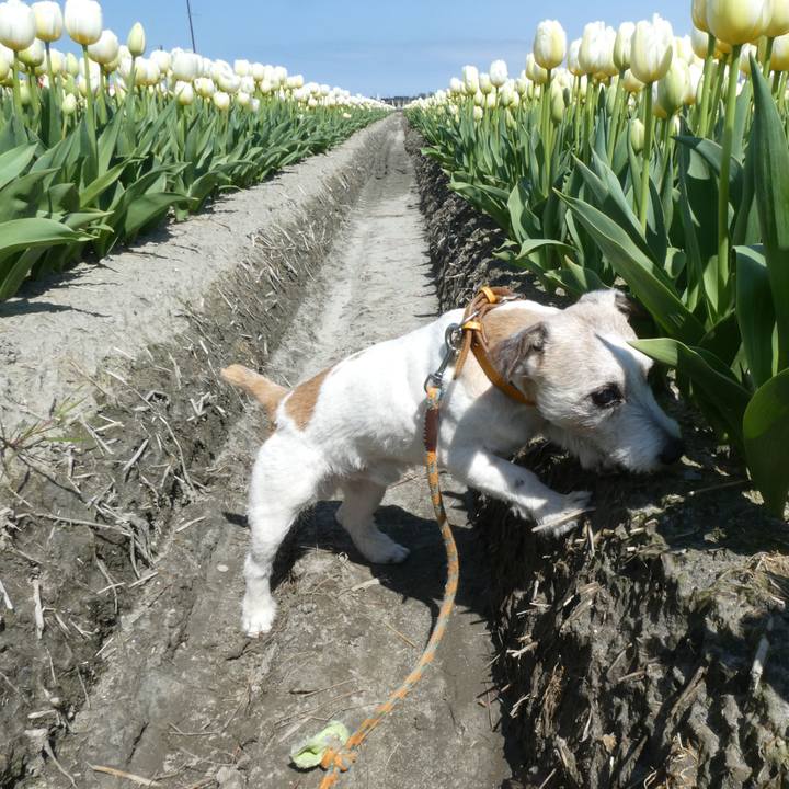 4609ba04 8df9 4b9e 853f 88ca9182afde 1618118361538