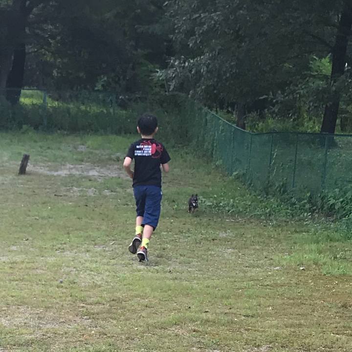 460a0b6a ce05 41f6 9d12 3f0d3a7c2700 1566002788683