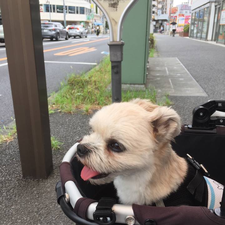 460a33aa 0f22 454e 88b2 31f2d04766b7 1535794733242