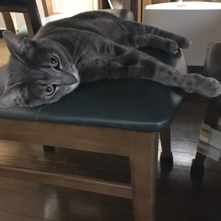 460a41c5 c915 45e5 9516 dd830b4e06d4 1573514304673