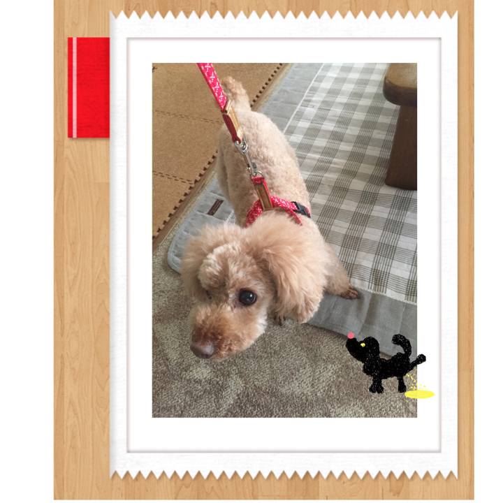 460a4efb 9740 4308 ad3d 1f69950835ed 1525817613727