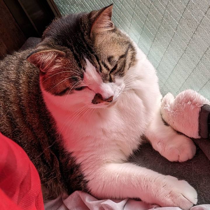 460a5749 c50f 4459 abfa 639a3eaf04de 1707708010703