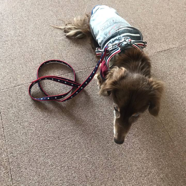 460a6577 95c2 476a 8c4b f008a990cb09 1586586967945