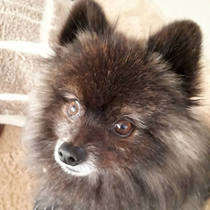 460a6824 72b4 404e b99c 7ae01b4a4c28 1520400981009