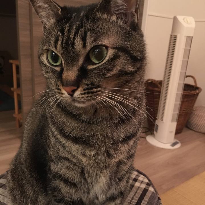 460a6934 5032 476d 9499 7dfc5fee1d5c 1557747864860