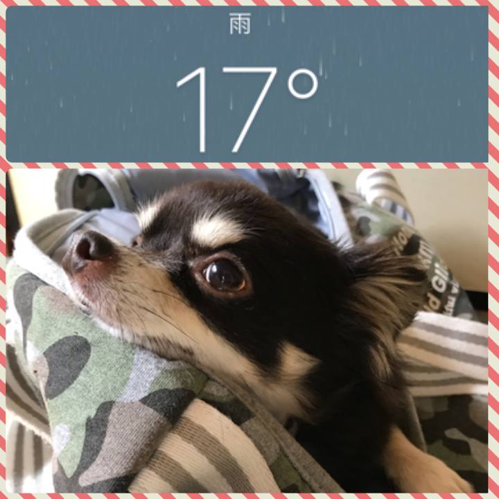 460a7b0b d60a 4d6d a290 71ab30d0fd81 1537491004527