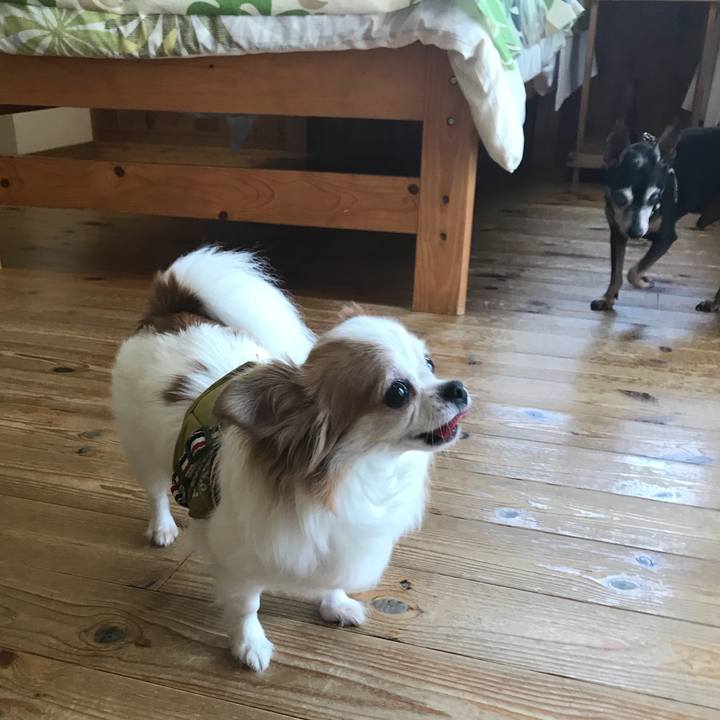 460ab1d0 a72d 43f2 a696 503e2a4dc68b 1565409898674