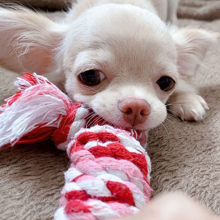 460acfa3 a64b 4b48 85bf fac5f7cc1b93 1615503942282