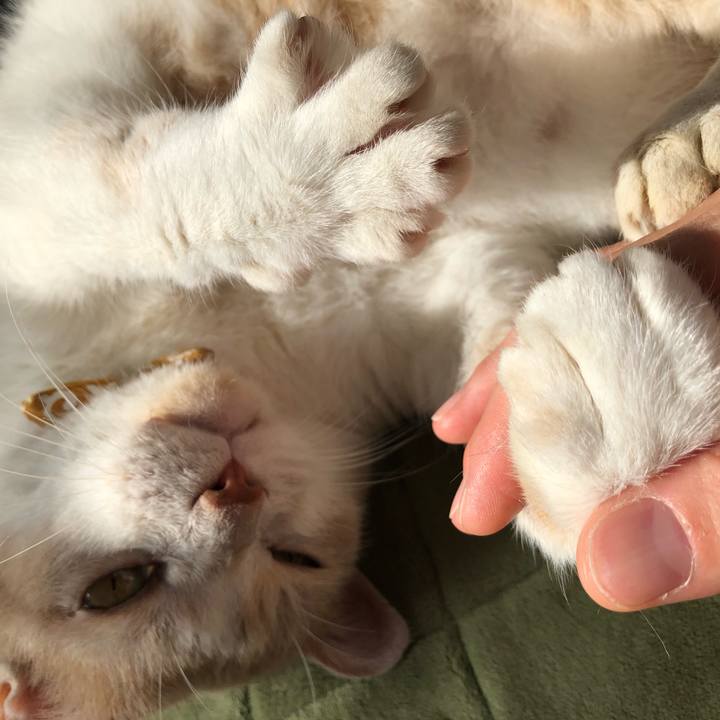 460ad47e cedd 4af8 b8ae f26f6d6a3ef9 1592905867866