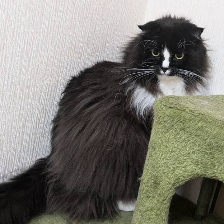 460aebb7 88b8 4da4 8223 6d3a21139ba2 1734127831460