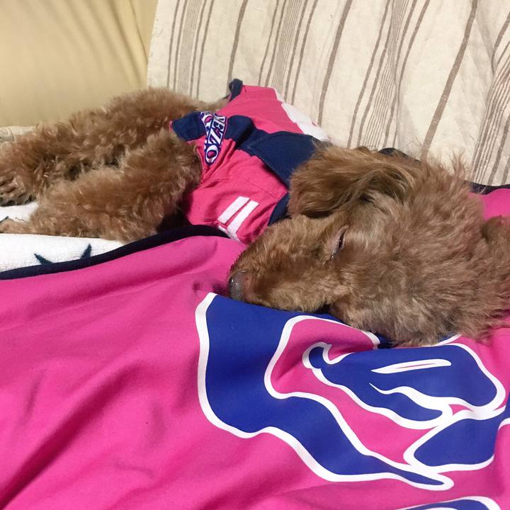 460b13d0 f751 4a49 8545 184e2f26e323 1508153651920