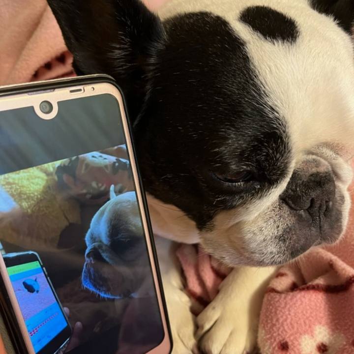 460b1583 8a4a 454a b0b1 52552b434f28 1686094046783