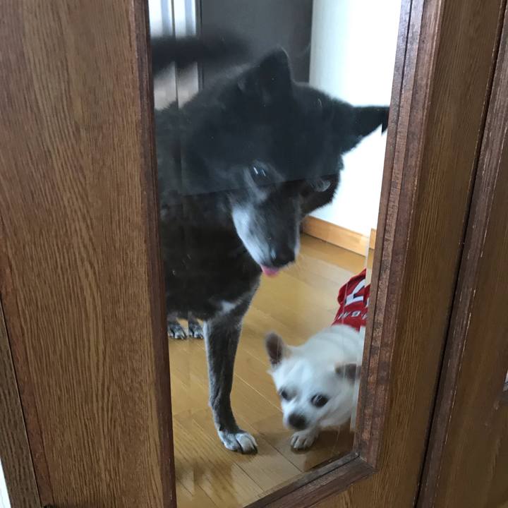 460b41e4 cd69 4e2c 9b1a 401c1cdcf332 1561726087196