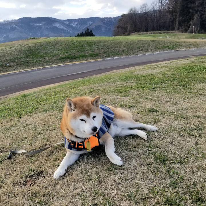 460b59cd a617 4e3b 8cf9 a7861e1e87db 1639547033419