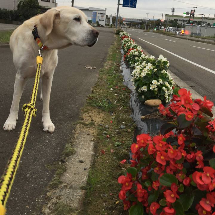 460b69de 8df2 49e7 88a9 fcc4f89f209f 1621600746598