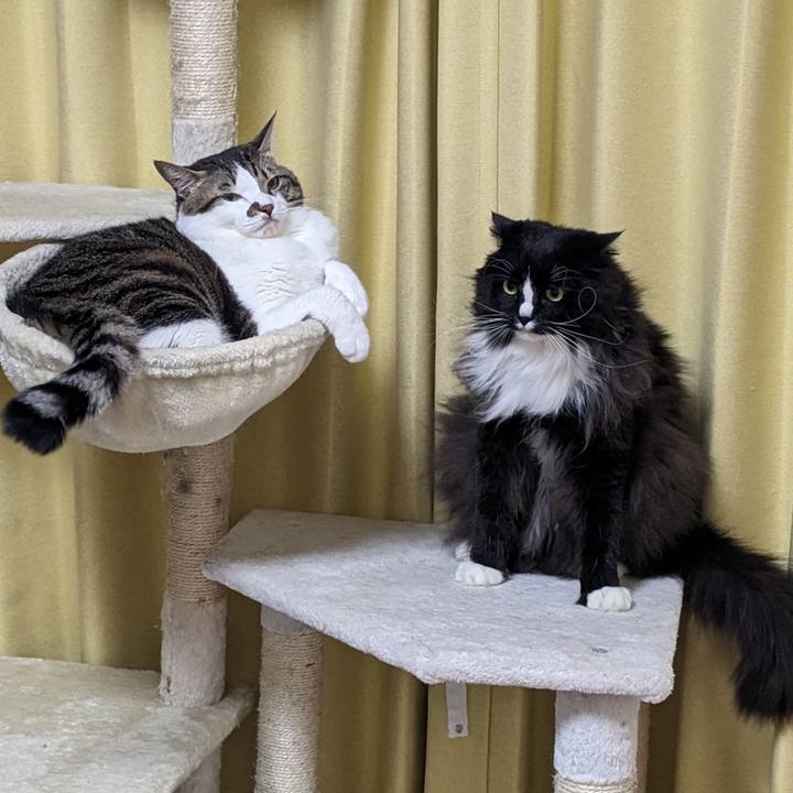 460b6e5e 80ff 4caf 9fd8 ef367de9e589 1702897769740