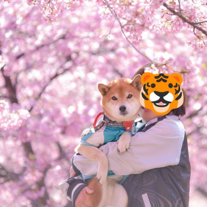 460b7868 f3c9 452f 82f8 1721f4ab27f3 1709695074333