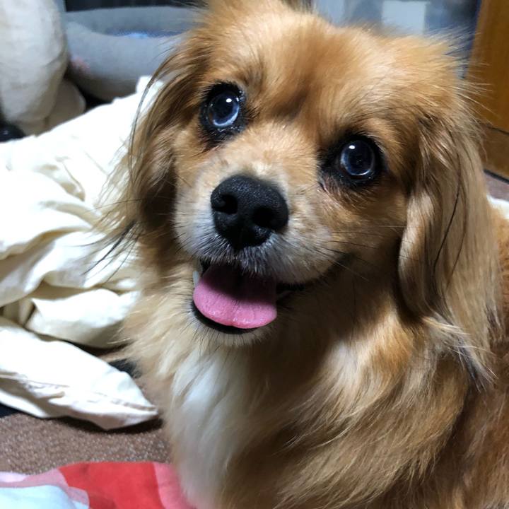 460baacc abea 45b4 a8a7 263bd64c5887 1562251929645