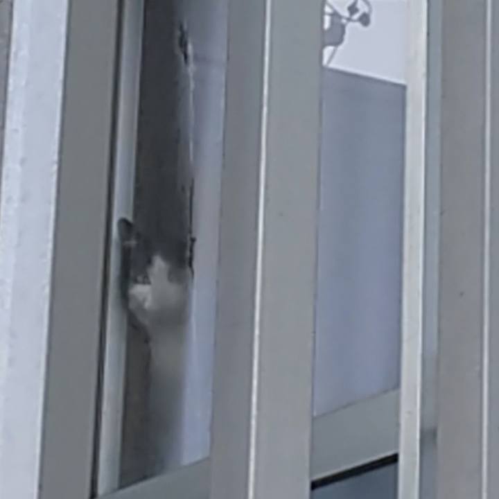 460bee47 e53b 491b af11 05c6220e6458 1580771945548