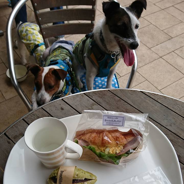 460bfa07 342c 476a 8c96 03101dbd9e0c 1594100566367