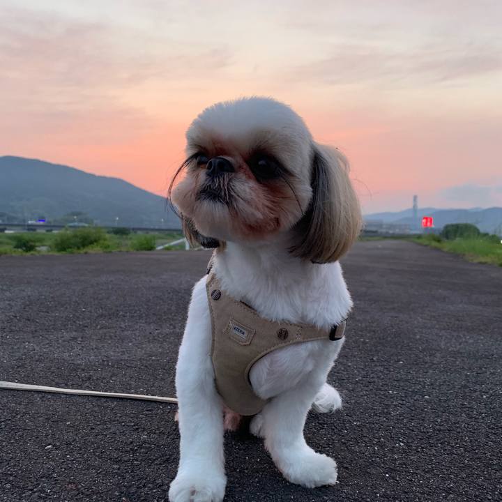 460c0003 a0e1 4e59 847a de142b8caf20 1623066785171