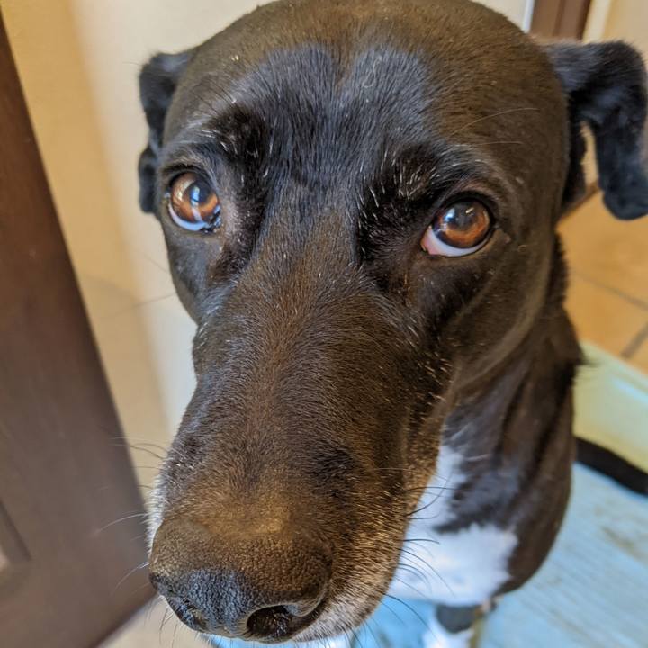 460c59e0 bc82 4c3e b2cd 690f600cac27 1672932526033