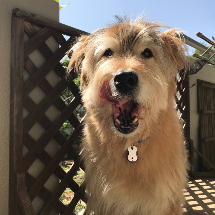 460c5bd5 8d27 4a06 b497 da434c63f7ee 1681356664962