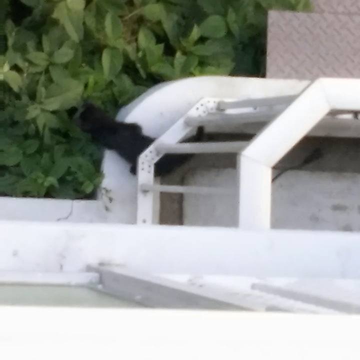 460c6d13 d2bc 4b52 a2a0 97db8fe967cb 1527331627438