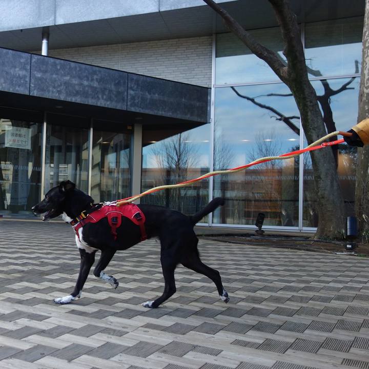 460cbbd3 7c3a 432b b13f 2287d5714d63 1584404347066