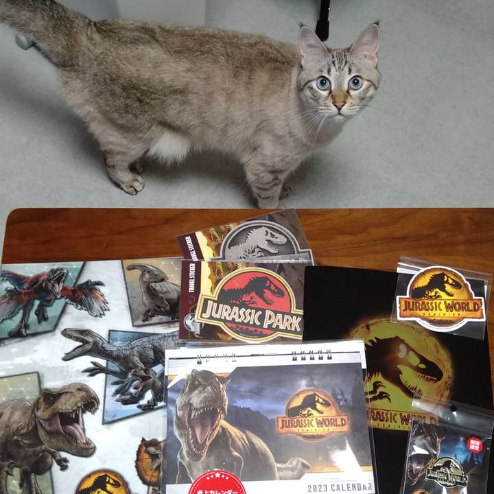 460cbd43 05a4 4253 b3f4 a63af7b5c433 1659176155650