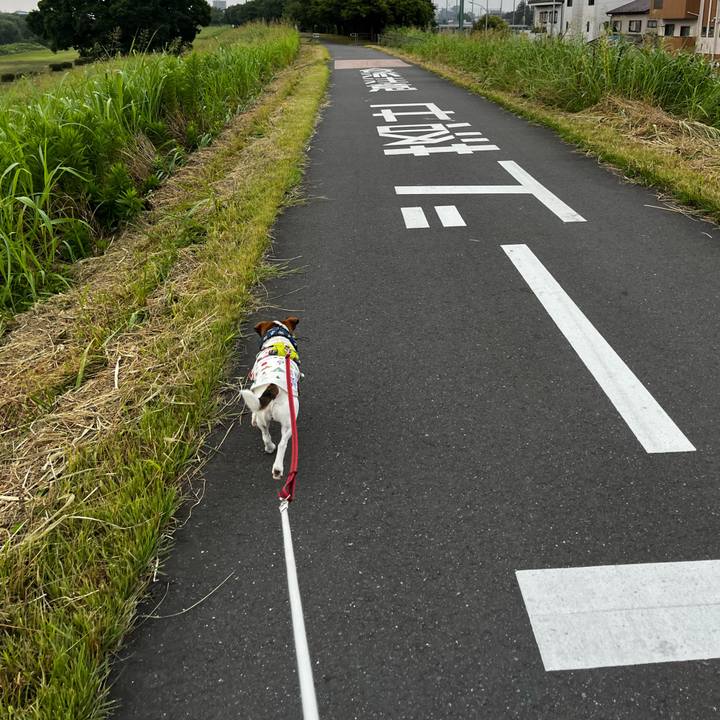 460cccac e1fc 4965 89db 84eb292f0ecd 1751776437885