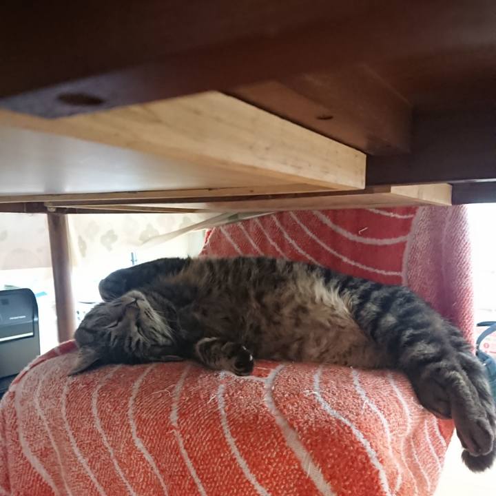 460ce1cb 02d1 4f01 8896 92dd0b7bd47b 1650405704820