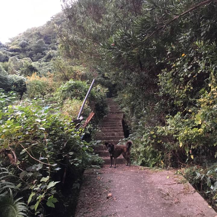 460ce2db beb1 40bd a6f6 2cc44c72c7e3 1509701601932