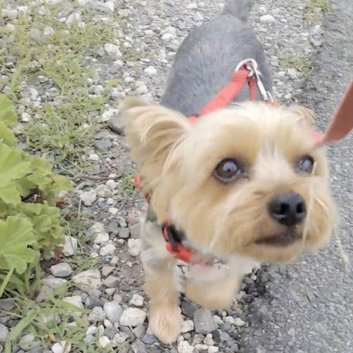 460d1604 fa66 487f b301 c8da1ca519ab 1687913060568