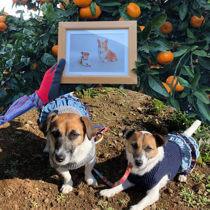 460d27c8 0ad8 4e5c b994 5b8775b31b06 1576318942923