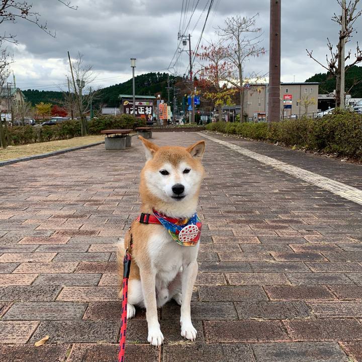 460d3f5e ac69 4862 8ac5 d76c9c09613a 1637751081359