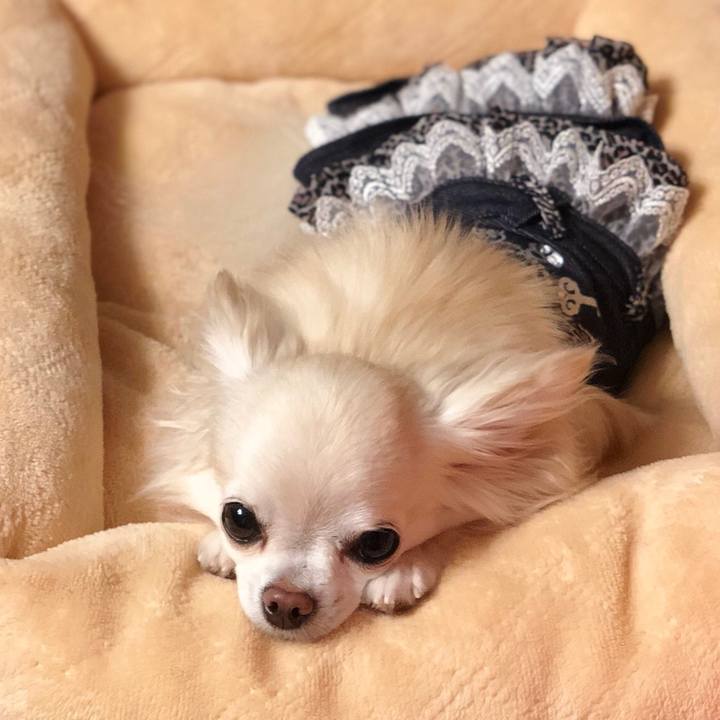 460d43cd dcbb 4992 92e8 486156c23464 1537412577988