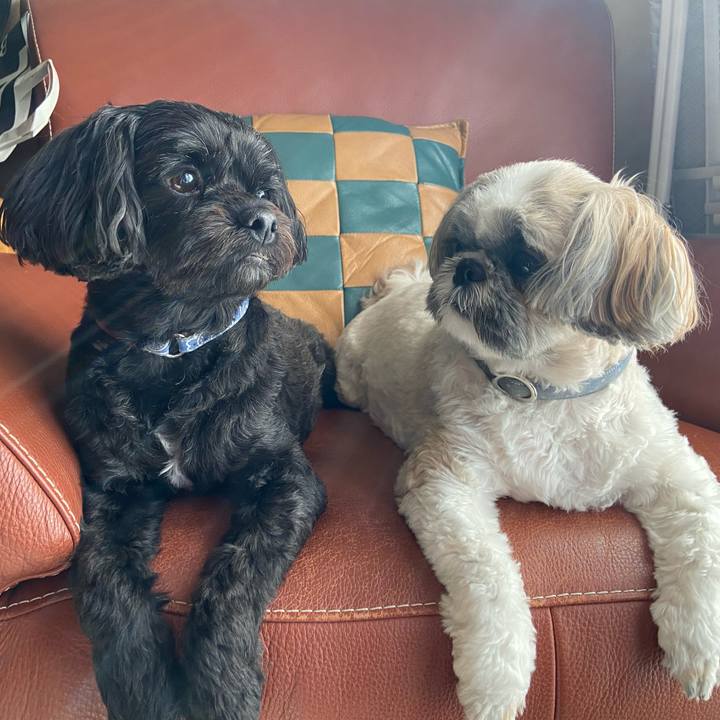 460d45a4 650a 4612 b8c7 f286735b3fa4 1697473880232